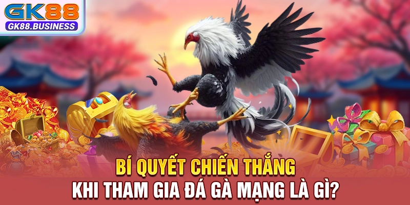 Bí quyết chiến thắng khi tham gia đá gà mạng là gì?