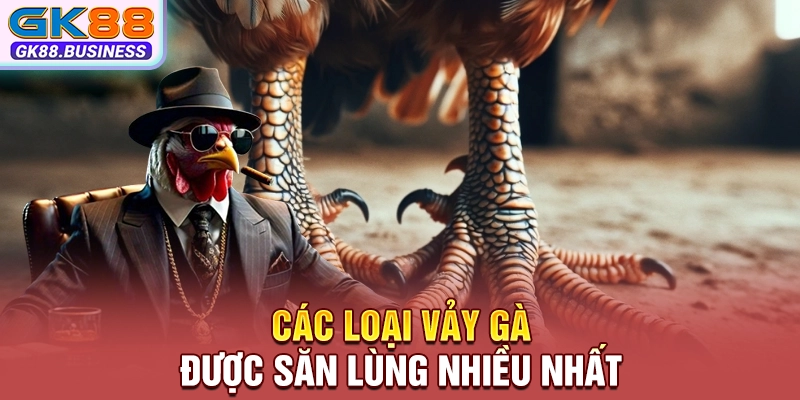 Các loại vảy gà được săn lùng nhiều nhất