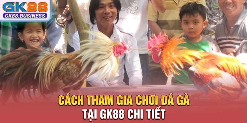 Cách tham gia chơi đá gà tại GK88 chi tiết