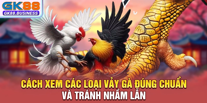 Cách xem các loại vảy gà đúng chuẩn và tránh nhầm lẫn