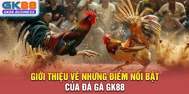 Giới thiệu về những điểm nổi bật của đá gà GK88