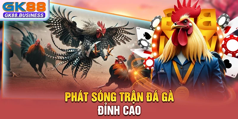 Phát sóng trận đá gà đỉnh cao