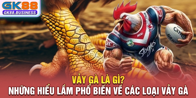 Vảy gà là gì? Những hiểu lầm phổ biến về các loại vảy gà